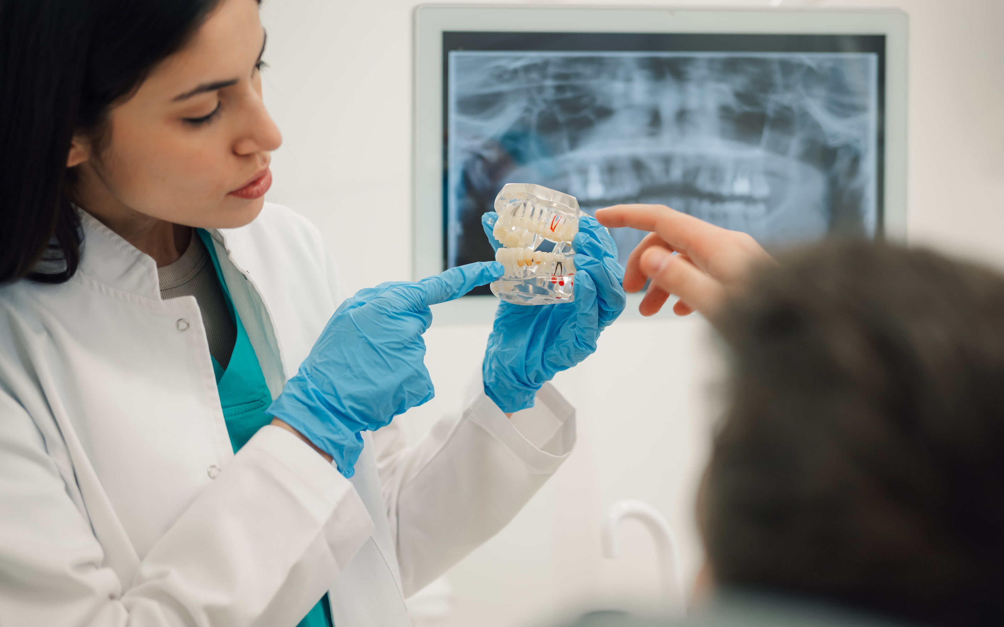 What is Teeth in a Day